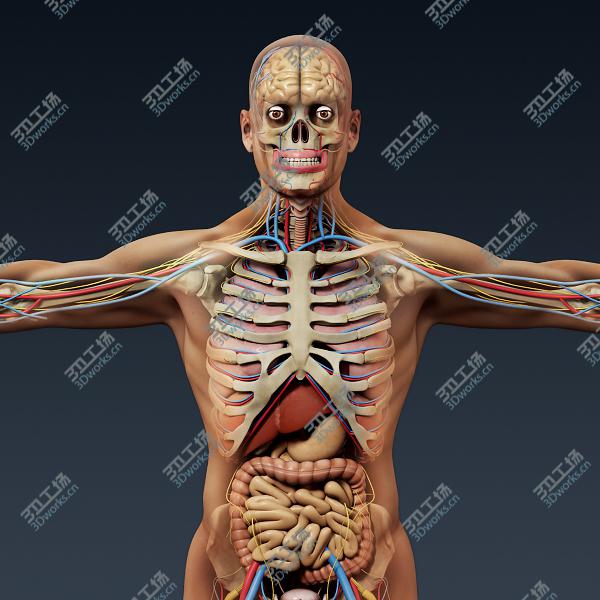 images/goods_img/20210115/3D model Lion 2 Animated (Polygonal Mane)/4.jpg